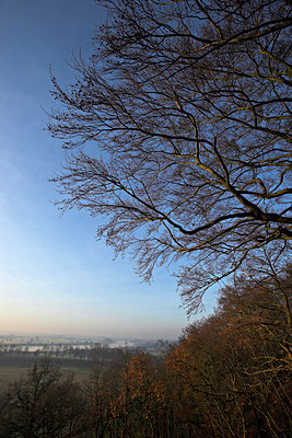 BUITEN BEELD Foto: 70793