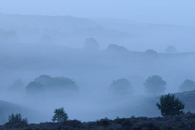 BUITEN BEELD Foto: 70796