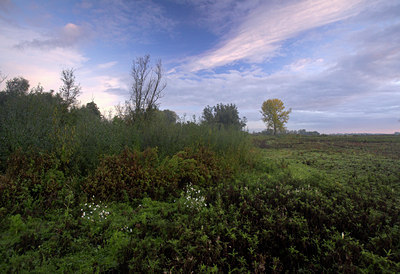 BUITEN BEELD Foto: 70856