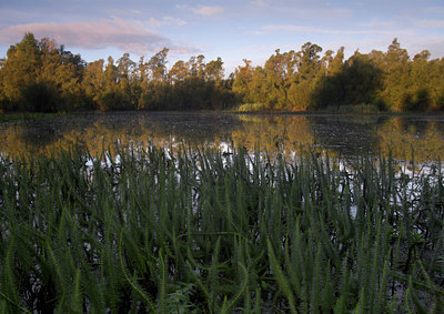 BUITEN BEELD Foto: 70857
