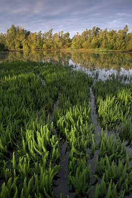 BUITEN BEELD Foto: 70862