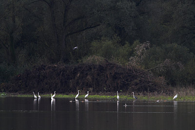 BUITEN BEELD Foto: 70865