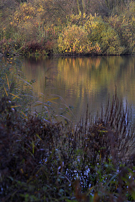 BUITEN BEELD Foto: 70870