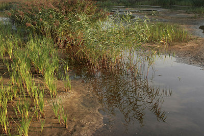 BUITEN BEELD Foto: 70874