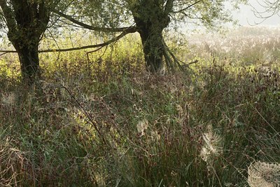 BUITEN BEELD Foto: 70875