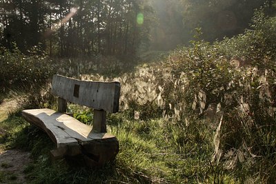 BUITEN BEELD Foto: 70877