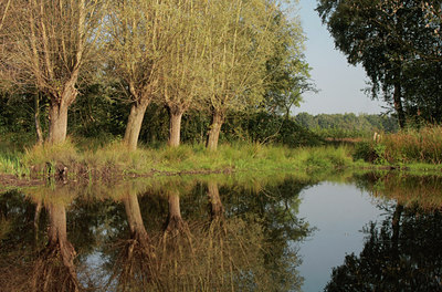 BUITEN BEELD Foto: 70909