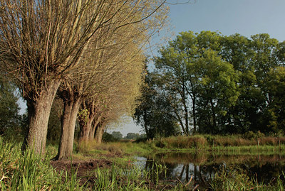 BUITEN BEELD Foto: 70910