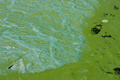 BUITEN BEELD Foto: 70921