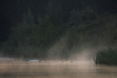 BUITEN BEELD Foto: 70931