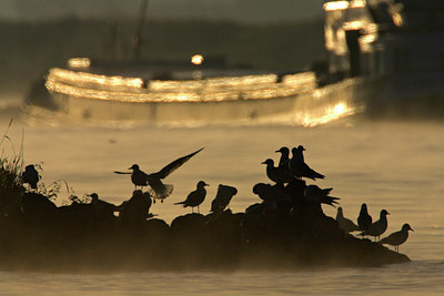 BUITEN BEELD Foto: 71021