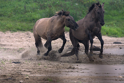 BUITEN BEELD Foto: 71029