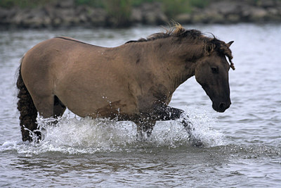 BUITEN BEELD Foto: 71031