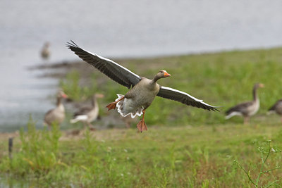 BUITEN BEELD Foto: 71040