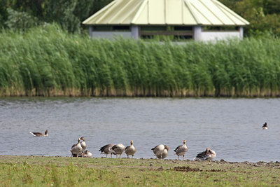 BUITEN BEELD Foto: 71042