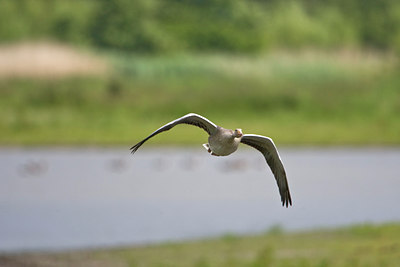 BUITEN BEELD Foto: 71045