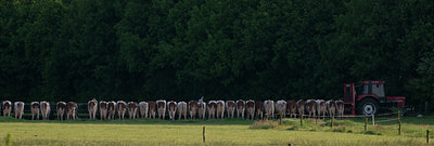 BUITEN BEELD Foto: 71093