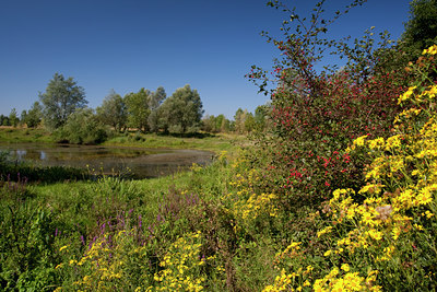 BUITEN BEELD Foto: 71114