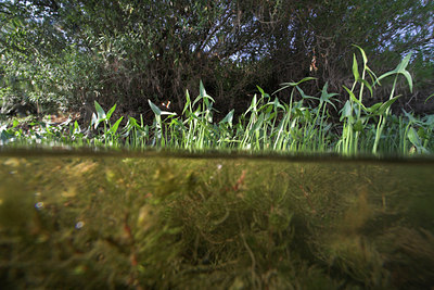 BUITEN BEELD Foto: 71142