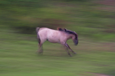 BUITEN BEELD Foto: 71148