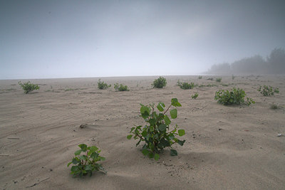 BUITEN BEELD Foto: 71152