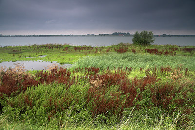 BUITEN BEELD Foto: 71161