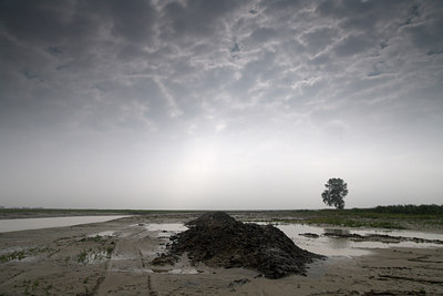 BUITEN BEELD Foto: 71162