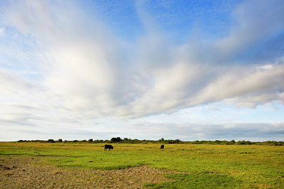 BUITEN BEELD Foto: 71192