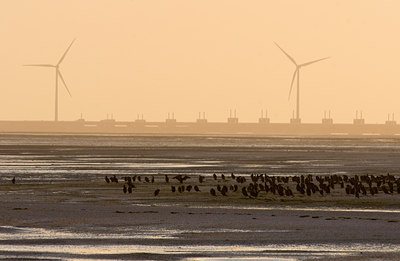 BUITEN BEELD Foto: 71205