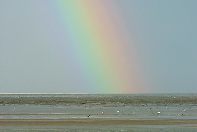 BUITEN BEELD Foto: 71207
