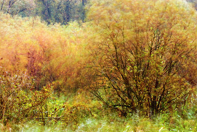 BUITEN BEELD Foto: 71233