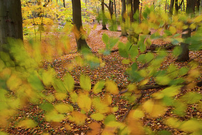 BUITEN BEELD Foto: 71240