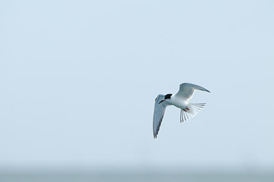 BUITEN BEELD Foto: 71287