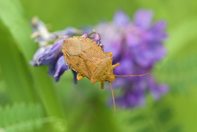 BUITEN BEELD Foto: 71292