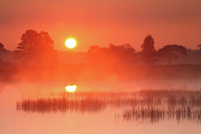 BUITEN BEELD Foto: 71317