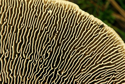 BUITEN BEELD Foto: 71361