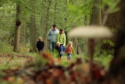 BUITEN BEELD Foto: 71382