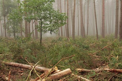 BUITEN BEELD Foto: 71400