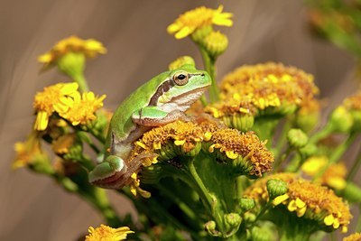 BUITEN BEELD Foto: 71446