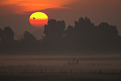 BUITEN BEELD Foto: 71499