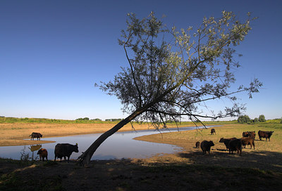BUITEN BEELD Foto: 71507