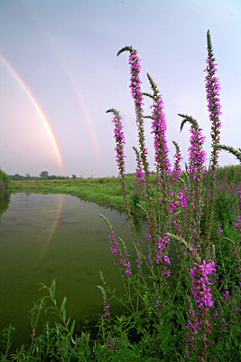 BUITEN BEELD Foto: 71511