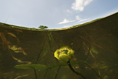BUITEN BEELD Foto: 71519