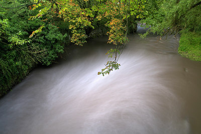 BUITEN BEELD Foto: 71523