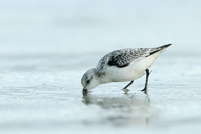 BUITEN BEELD Foto: 71542