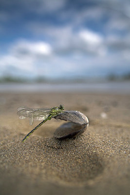 BUITEN BEELD Foto: 71580