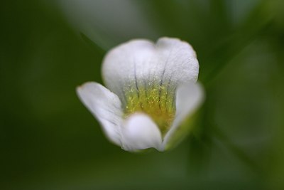 BUITEN BEELD Foto: 71582