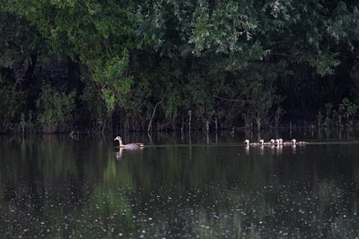 BUITEN BEELD Foto: 71584