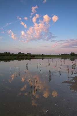 BUITEN BEELD Foto: 71587