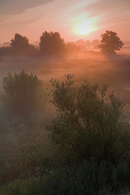 BUITEN BEELD Foto: 71596